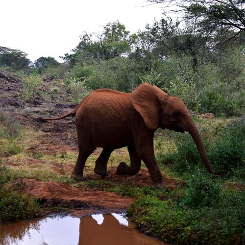 Photo #13283623