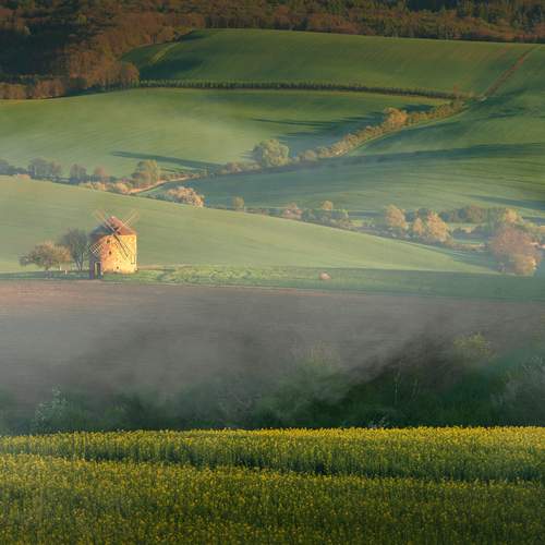 Photo #13283708