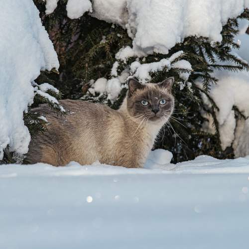 Photo #13283715