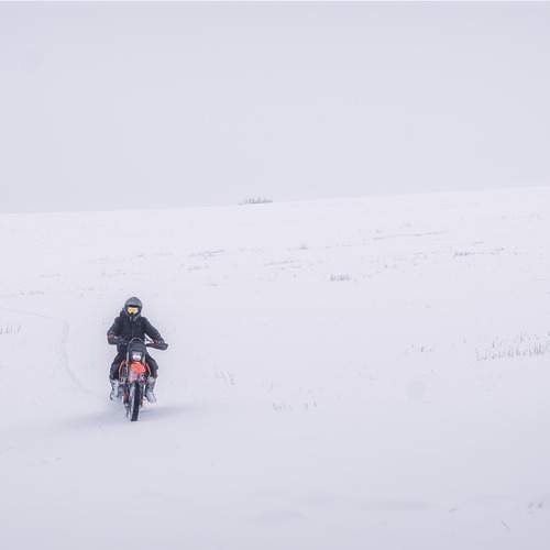 Into the White