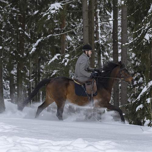 Photo #13283786