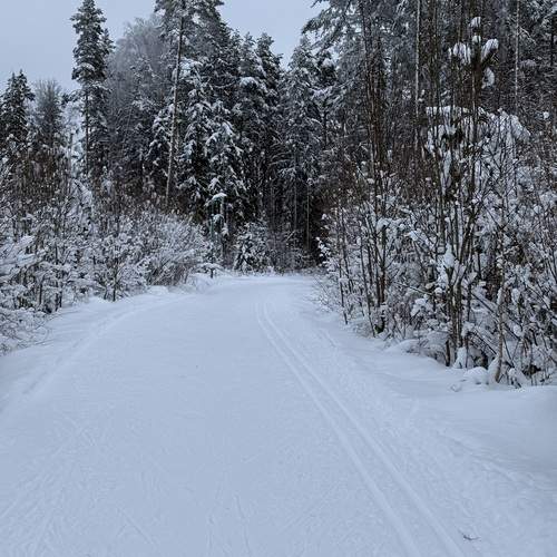 Photo #13283976