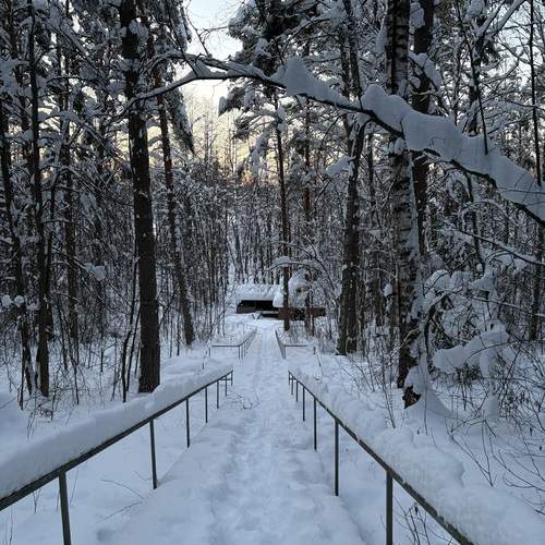 Photo #13283977