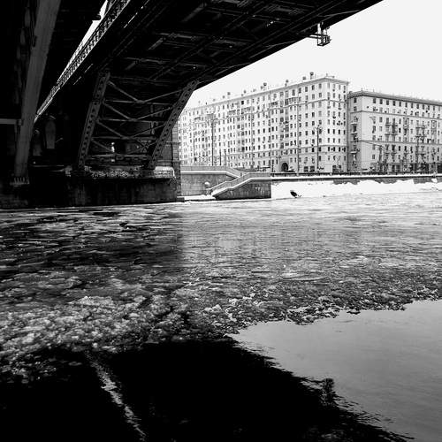 Photo #13284062