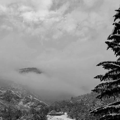 Photo #13284262