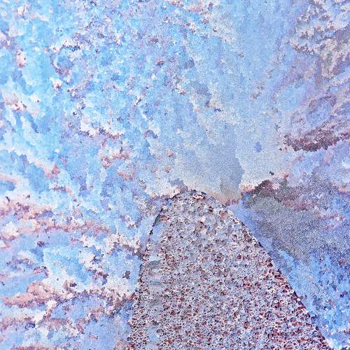 Photo #13284277