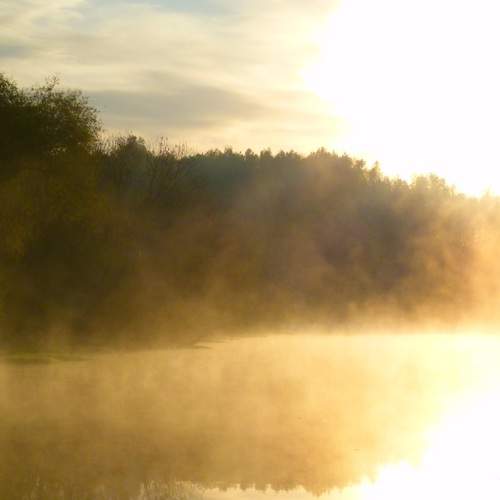 Photo #13284323
