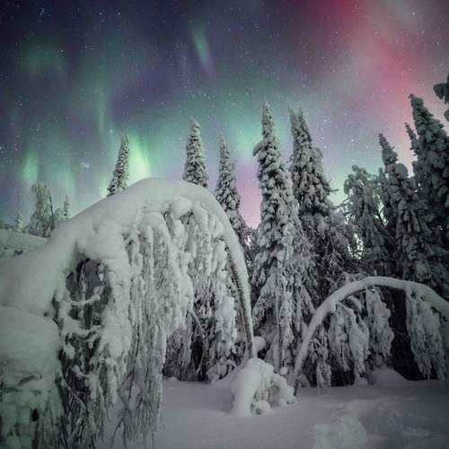 Фотография #13284359