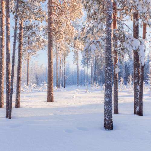 Фотография #13284361