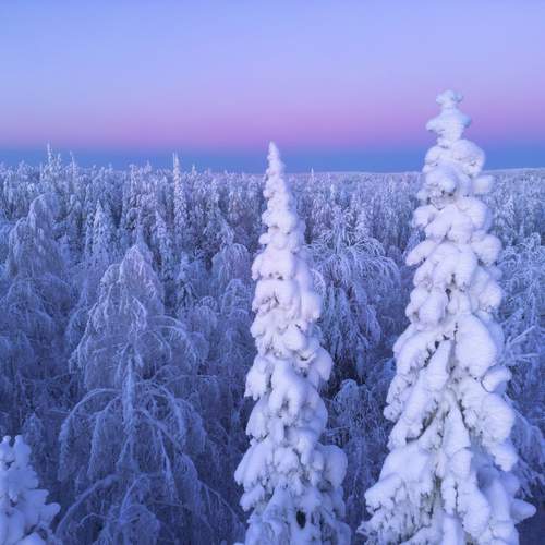 Фотография #13284364