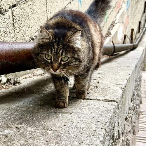 Photo #13284436