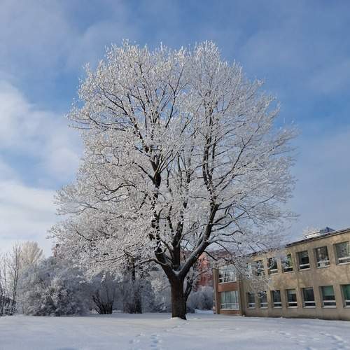 Photo #13284543