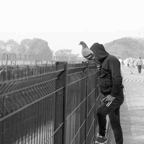 A Morning Moment