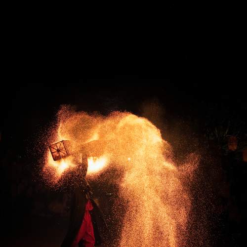 Photo #13284593