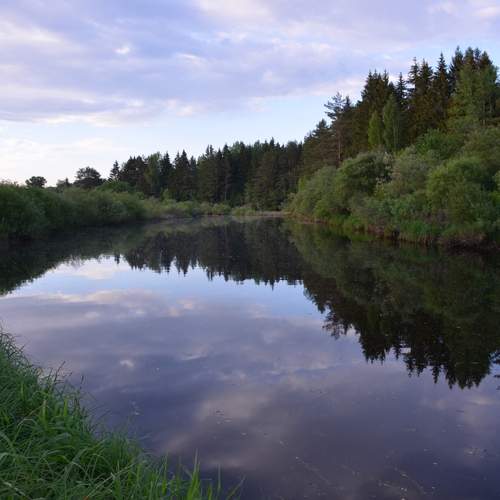 Photo #13284644