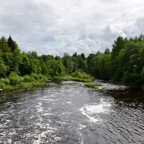 Photo #13284645