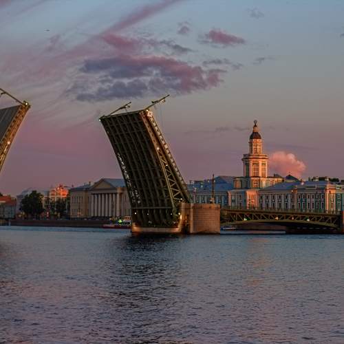 Photo #13284655