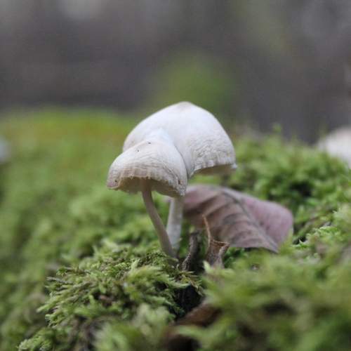 Photo #13284832