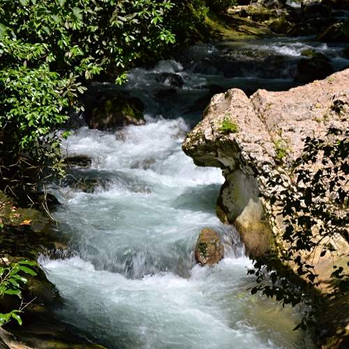 Photo #13284942
