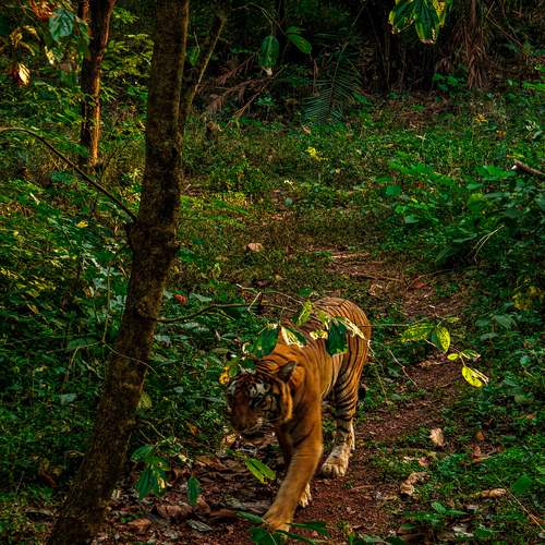 Photo #13284959