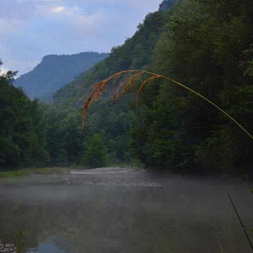 Photo #13284968
