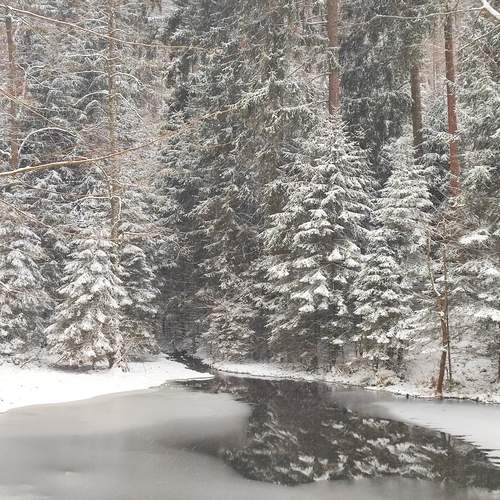 Photo #13284992