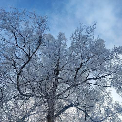 Photo #13285003