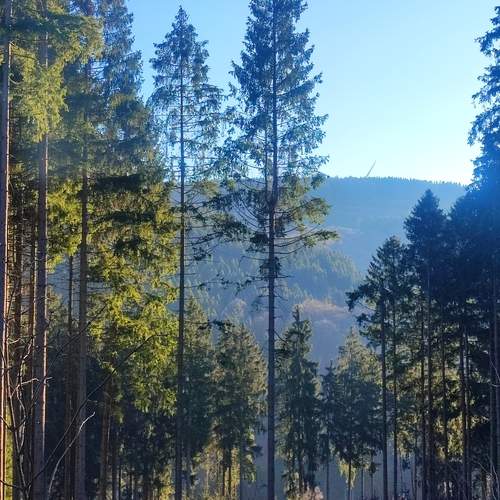 Photo #13285005