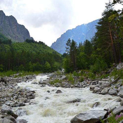 Photo #13285011