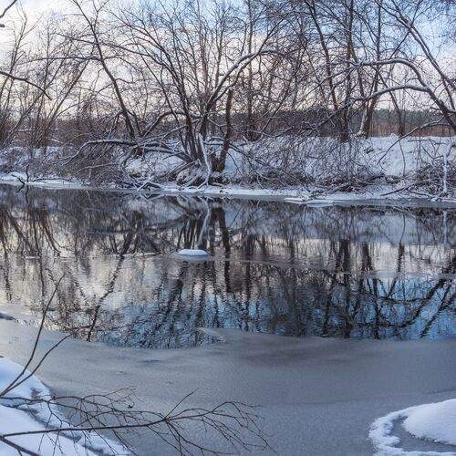Photo #13285052