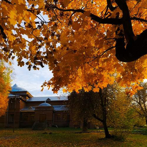 Autumn in Hogwarts