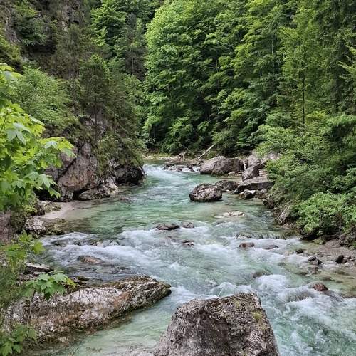 Photo #13285195