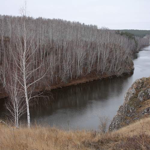 Photo #13285201