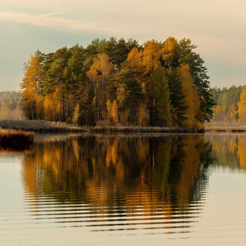 Photo #13285204