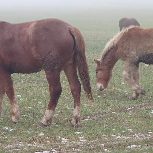 Photo #13285349