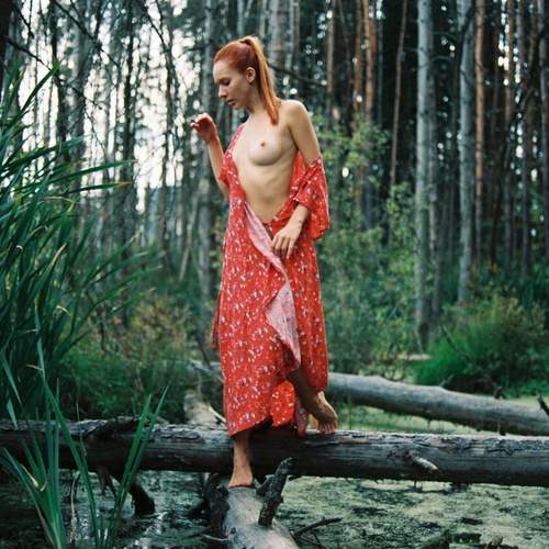 Photo #13285581