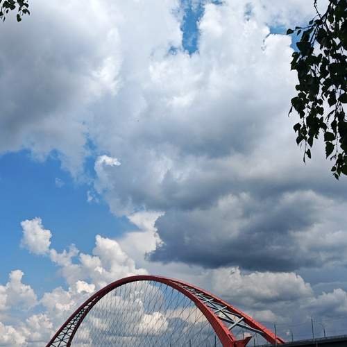 Photo #13285684