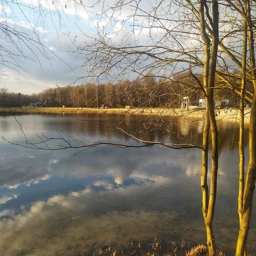 Photo #13285732