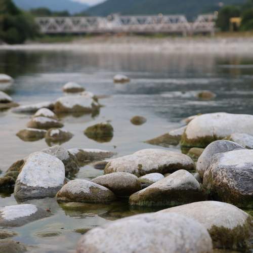 Photo #13285771