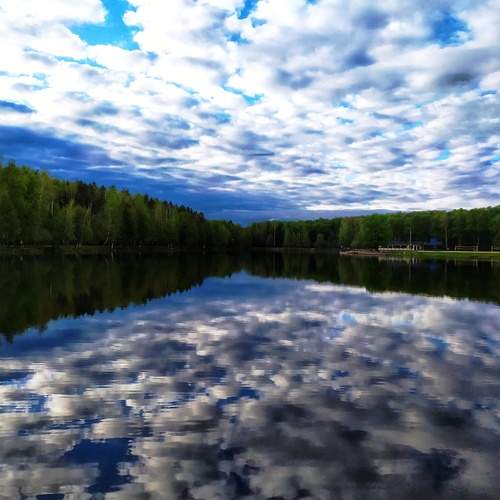 Photo #13285777