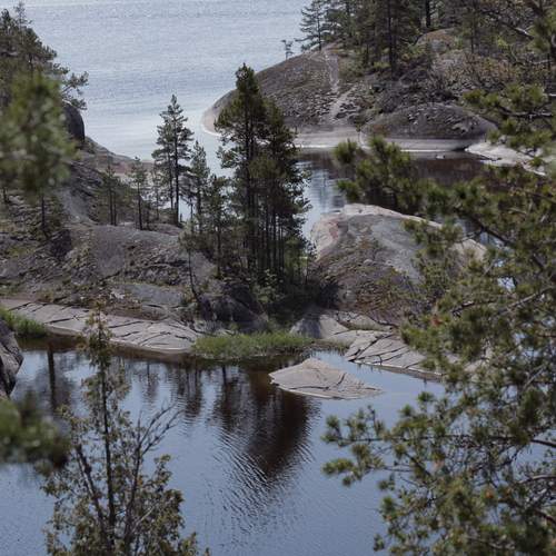 Фотография #13285790