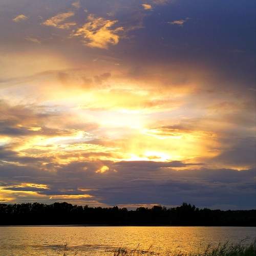 Photo #13285812