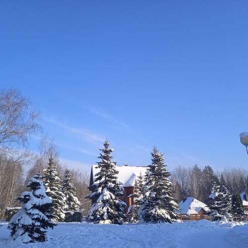 Photo #13285858