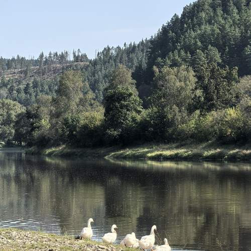 Photo #13285901