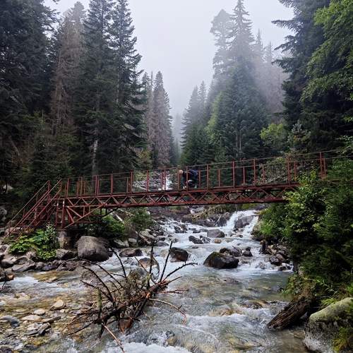 Photo #13285929