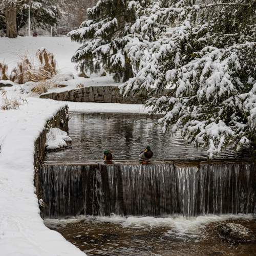 Photo #13285940