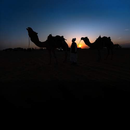 Photo #13286085