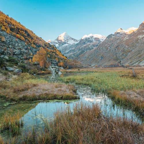 Фотография #13286239