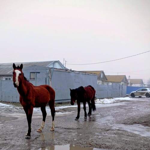 Photo #13286247