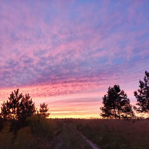 Photo #13286271